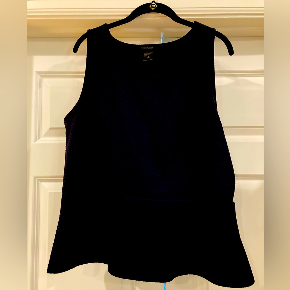 Ann Taylor top sleeveless fitted waist with slight flare